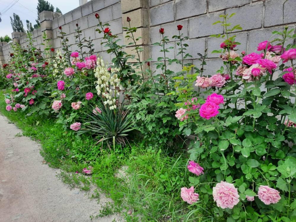 Homestay Jaisel Bishkek Exterior foto